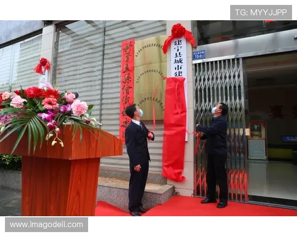 凯发集团旗下的公司：全面介绍其主要子公司及业务范围